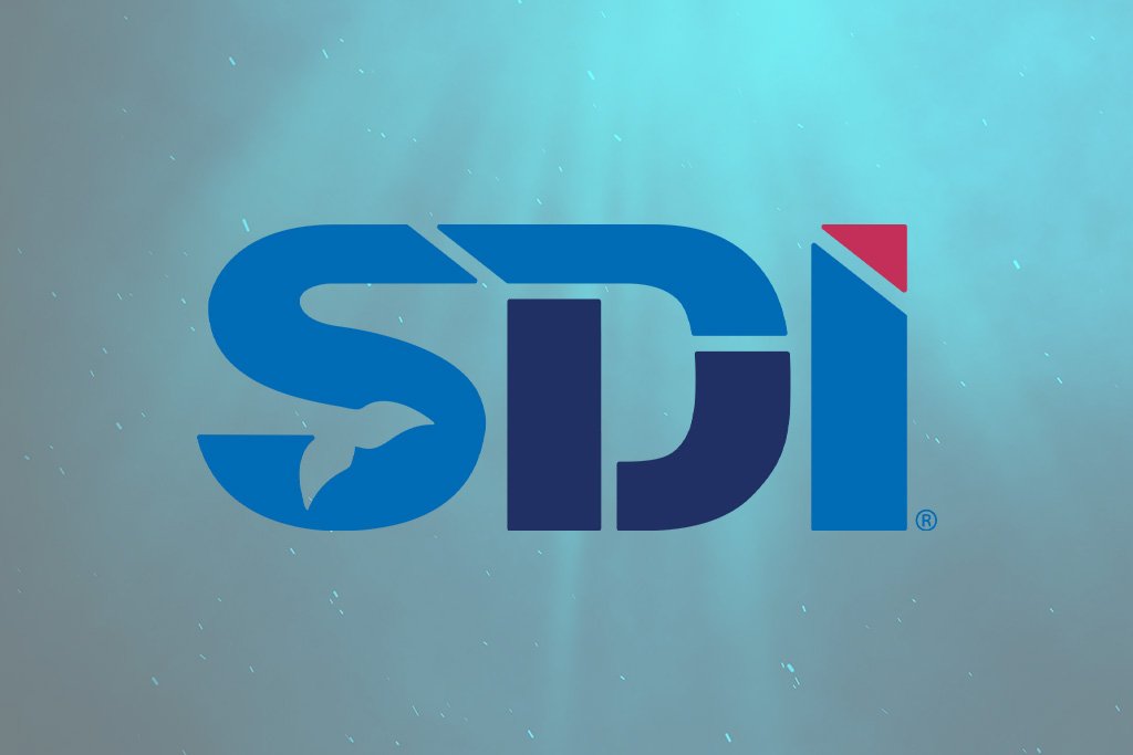 Erkend duikinstituut logo